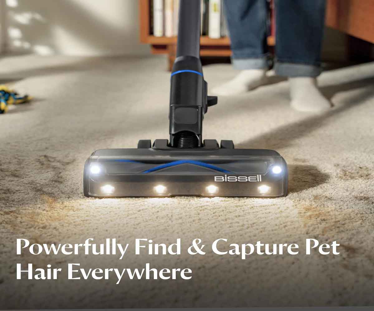 bissell powerclean | bissell power cleaner | bissell power clean max carpet shampooer | bissell powerclean vacuum | bissell power clean max | bissell powerclean 2889f | bissell powerclean max | bissell power clean 2x | bissell power clean reviews | bissell powerclean 2x | bissell powerclean carpet cleaner | bissell 2889f | bissell power clean turbo | bissell powerclean carpet washer | bissell powerclean max carpet cleaner | bissell powerclean rewind | bissell 3112f | bissell power clean max carpet shampooer 3112f | bissell powerclean 2889e carpet cleaner | bissell powerclean multi cyclonic | power clean vacuum | bissell 2889e powerclean carpet cleaner | bissell power clean rewind | bissell powerclean 2889e | bissell powerclean 2889f best price | bissell powerclean multi cyclonic canister vacuum | bissell powerclean turbobrush | bissell powerclean upright carpet washer | bissell 1654c | bissell 2027e | bissell 2494 | bissell powerclean 1654c | bissell powerclean shampooer 2889f | powerclean 2x | powerclean carpet cleaning | 2889f bissell | aspirateur bissell power clean | bissell 2085c | bissell 3112k | bissell homecare bissell powerclean | bissell power clean one pass | bissell powerclean 2889e carpet cleaner reviews | bissell powerclean 2x 3112e | bissell powerclean carpet cleaner reviews | bissell powerclean ion | bissell powerclean one pass | bissell powerclean vacuum cleaner | powerclean vacuum cleaner | bissell 1330k | bissell 1654c powerclean | bissell 1654c powerclean multi cyclonic bagless canister vacuum | bissell 1654c powerclean multi cyclonic bagless canister vacuum silver green | bissell 18m9v powerclean | bissell 18m9v powerclean rewind | bissell 2085c powerclean | bissell 2085c powerclean turbobrush | bissell 2085c powerclean turbobrush compact carpet | bissell 2494 reviews | bissell power clean ion | bissell power clean max carpet shampooer reviews | bissell power clean professional | bissell powerclean 1654c canadian tire | bissell powerclean 2494 | bissell powerclean 2771b | bissell powerclean 2889 | bissell powerclean 2889 reviews | bissell powerclean 2889e carpet cleaner grey | bissell powerclean 2x 3112e carpet cleaner | bissell powerclean bagless canister vacuum | bissell powerclean carpet cleaner 2889f | bissell powerclean lightweight carpet washer | bissell powerclean multi cyclonic bagless canister vacuum | bissell powerclean multi cyclonic rewind | bissell powerclean multi cyclonic vacuum | bissell powerclean powerbrush | bissell powerclean rewind 1327 | bissell powerclean rewind 1813 | bissell powerclean rewind 2494 | bissell powerclean rewind bagless vacuum | bissell powerclean rewind reviews | bissell powerclean rewind vacuum | bissell powerclean stainpro 6 | bissell powerclean turbo carpet cleaner | bissell powerclean upright carpet washer 2771b | bissell powerclean vacuum reviews | bissell powerclean x2 | bissell turbobrush powerclean 2987 | power clean rewind | power clean rewind vacuum | powerclean 2771b | powerclean 2889f | powerclean rewind | powerclean upright carpet washer | powerclean upright carpet washer 2889f | kohls bissell powerclean rewind