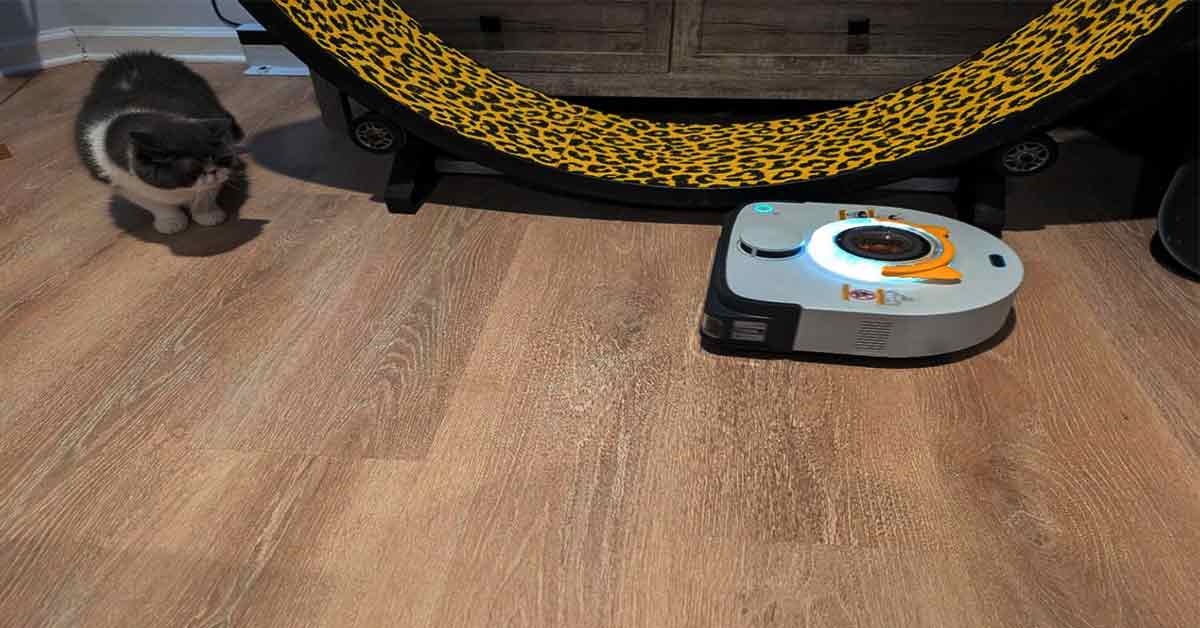 robot vacuum cleaner | best robot vacuum cleaner for pet hair | shark robotic vacuum cleaner | robotic vacuum cleaner | robot vacuum cleaner mopping | best vacuum cleaner robot | dyson robot vacuum cleaner | vacuum cleaner robot | best robot vacuum cleaner | best robot vacuum cleaner for wood floors | Keyword | robot vacuum cleaner | automatic vacuum cleaner | autonomous vacuum | robot vacuum | robotic hoovers | roomba | best automatic vacuum | best automatic vacuum cleaner | best rated robot vacuum | best robot cleaner | best robot hoover | best robot vacuum | best robot vacuum cleaner | good robot vacuum | i robot roomba | auto vacuum and mop | automatic vacuum and mop | robot cleaner with mop | robot vacuum and mop | best automatic vacuum and mop | best robot vacuum and mop | roomba vacuum | automatic sweeper | ecovacs deebot | mi cleaning robot | mi robot vacuum cleaner | mi vacuum cleaner robot | robot xiaomi vacuum | robotic shark vacuum | shark robot vacuum | shark robotic vacuum cleaner | xiaomi cleaning robot | xiaomi mi robot vacuum cleaner | xiaomi mi vacuum robot | xiaomi robot vacuum | eufy robo vac | robot mop | best automatic vacuum for pet hair | best robot hoover for pet hair | best robot vacuum cleaner for pet hair | best robot vacuum for pet hair | dyson automatic vacuum | dyson robot cleaner | dyson robot vacuum | dyson robot vacuum cleaner | robot cleaner | robot i roomba | robot roomba | robotic roomba | all in one vacuum and mop | dreame vacuum | robot hoover | vacuum bot | window robot cleaner | best home vacuum cleaner | eufy robot cleaner | eufy robot vacuum | robovac | roomba i 7 | roomba i7 | roomba j7+ | xiaomi vacuum | best auto vacuum | eufy vacuum | robot floor cleaner | xiaomi vacuum cleaner | best robot mop | dreame robot vacuum | i robot roomba i7 | irobot roomba i7 | irobot roomba j7+ | irobot vacuum | mop vacuum | narwal robotics | roomba j7 | xiaomi robot | dyson robot | house cleaning robot | roborock vacuum | auto vacuum | automated vacuum | automatic vacuum | automatic vacuum for pet hair | ecovacs robot | robot vacuum cleaner for pet hair | robot vacuum for pet hair | roomba i5 | roomba mop vacuum | roomba vacuum and mop | samsung robot vacuum | best roomba for pet hair | cleaning robot price | robot hoover and mop | robot vacuum costco | robot vacuum price | robot vacuum sale | robovac mop | roomba i 3 | roomba i3 | roomba mop | roomba s9+ | self emptying robot vacuum | shark ion robot vacuum | shark robot vacuum and mop | autonomous vacuum cleaner | best affordable robot vacuum | best budget robot vacuum | best budget robot vacuum cleaner | best cheap robot vacuum | best inexpensive robot vacuum | best roomba | cleaning robots for home | eufy clean | eufy cleaner | eufy robovac 11s | i robot roomba j7 | irobot roomba j7 | irobot roomba s9+ | lefant robot vacuum | mi robot vacuum | mi robot vacuum mop p | roomba cleaner | roomba vacuum cleaner | vacuum and mop in one | vacuum cleaner with mop | wyze vacuum | affordable robot vacuum | aiper pool vacuum | aiper seagull se | automatic floor cleaner | budget robot vacuum | cheap robot vacuum | cheap robot vacuum cleaner | dreame vacuum cleaner | ecovacs winbot | i robot roomba i3 | i robot roomba i7+ | ilife robot vacuum | irobot roomba i3 | irobot roomba i7+